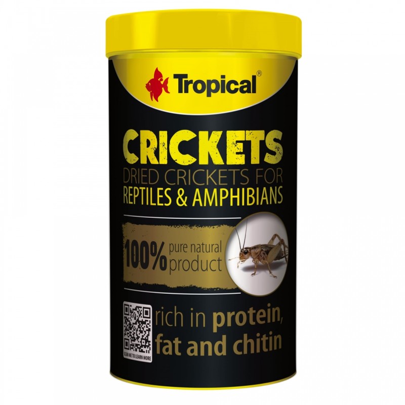 Crickets 250ml / 25g