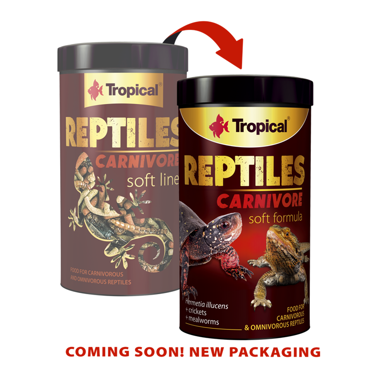 Soft Line Reptiles Carnivore1000ml / 260g