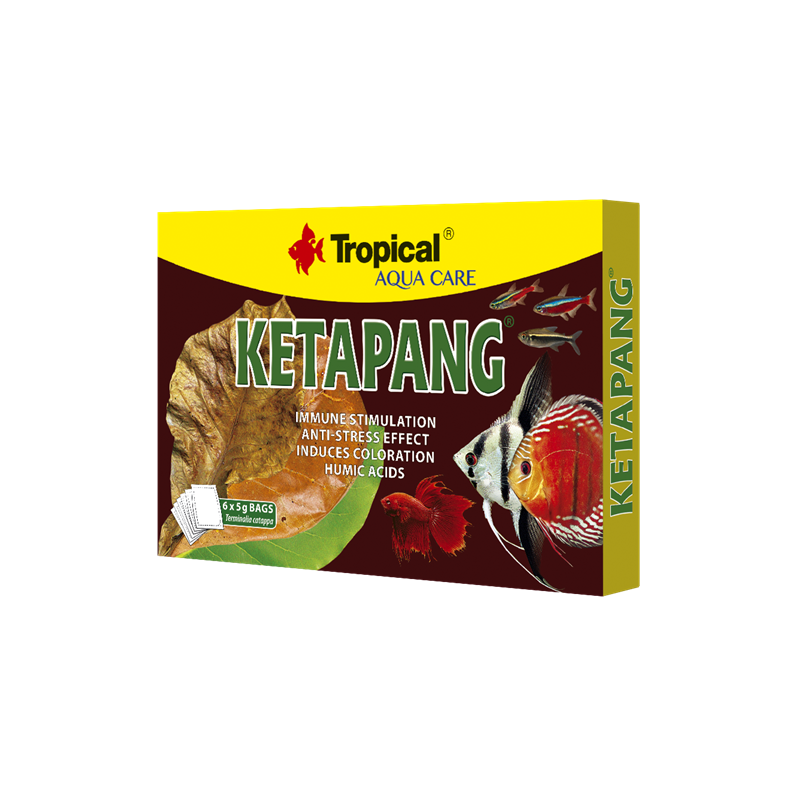 Ketapang30gr