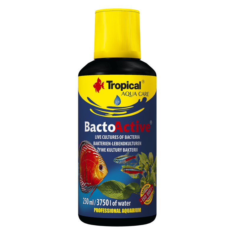 Bacto-Active 250ml