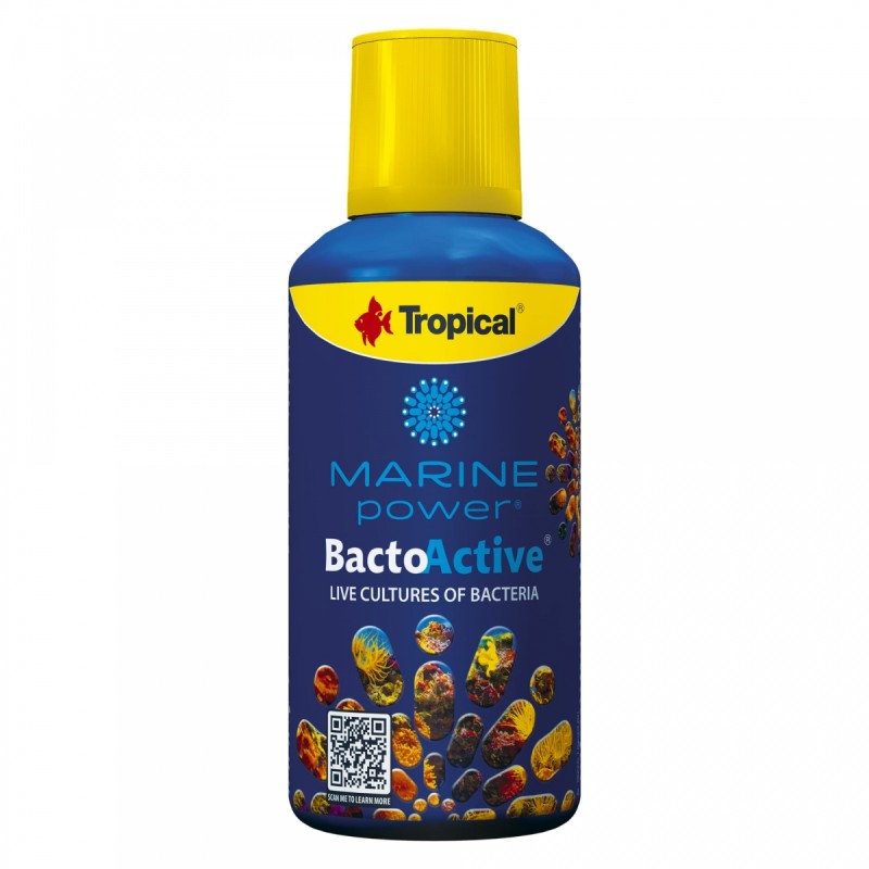 Bacto-Active 250ml 250ml